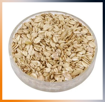 Quick Cooking Oats Manufacturers
